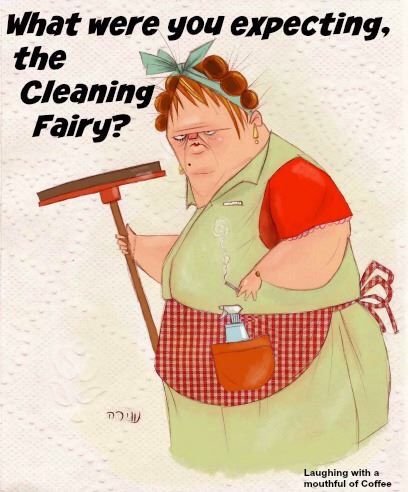 Cleaning Fairy Easy Oven Cleaner, Cute Apartment Ideas, Cleaning Drawing, Apartment Ideas Kitchen, Cute Apartment, Cleaning Lady, Storage Bathroom, Organic Kitchen, Oven Cleaner