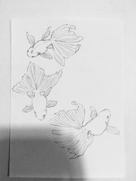 Gold Fish Sketch, Goldfish Sketch, Gold Fish Tattoo, Gold Fish Drawing, Gold Fish Art, Goldfish Drawing, Fish Sketch, Goldfish Art, Drawn Fish