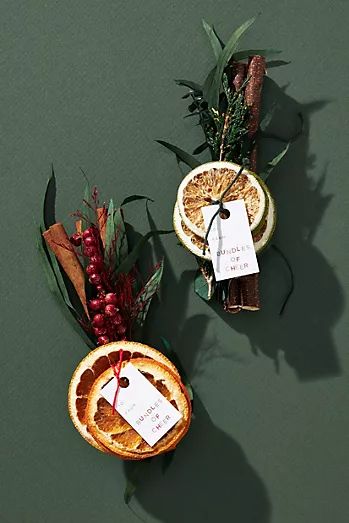 Home | Anthropologie Citrus Bouquet, Anthropologie Holiday, Nature Motifs, Wood Branch, Globe Ornament, Festive Holiday Decor, Glass Jar Candles, Hand Poured Candle, Brown Orange