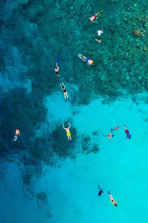 Snorkeling Pictures, Shell Island, Visit Maldives, Best Snorkeling, Willemstad, Shore Excursions, Photos Hd, Island Resort, Aerial View