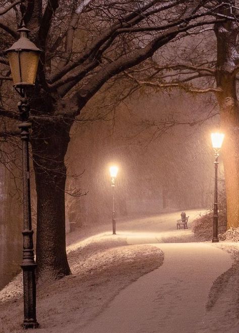 Era Victoria, Lonely Road, Snow Landscape, I Love Winter, Street Lights, Winter Love, Winter Scenery, Winter Magic, Winter Beauty