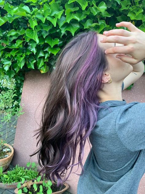 Split Dye Brown And Purple, Lilac Hair Streaks, Purple Hair Underneath Light Brown, Lavender Hair Underneath Brown, Color Block Hair Ideas Curly, Lavender Hair Highlights Brown, Partial Purple Hair, Colored Highlights In Brown Hair Purple, Colored Hair Underneath Brown