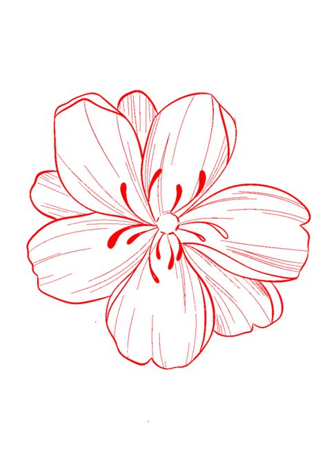 Tropical Flower Drawing Easy, Traditional Flower Tattoo Stencil, Realism Stencil, Red Flower Tattoo, Elephant Head Tattoo, Red Flower Tattoos, Flower Tattoo Stencils, Hibiscus Flower Tattoos, Traditional Tattoo Flowers