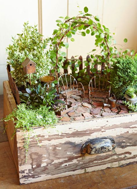 Miniature Garden Design, Beach Fairy Garden, Indoor Fairy Gardens, Fairy Garden Ideas, Fairy Garden Designs, Fairy Garden Crafts, Garden Vines, Faeries Gardens, Mini Fairy Garden