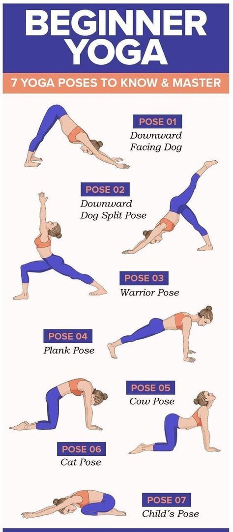 if you are a new beginner doing yoga, you must know all of the basic yoga exercises and try them at home. Basic Exercises For Beginners, Exercises For Beginners, Poses For Beginners, Cow Pose, Plank Pose, Warrior Pose, Dog Poses, Basic Yoga, Yoga Help