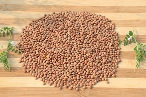 Ripe lentils on shop for sell are cash crops royalty free stock image Cash Crops, Cash Crop, Lentils, Parsley, Stock Images Free, Photo Image, Royalty, Royalty Free, Stock Images