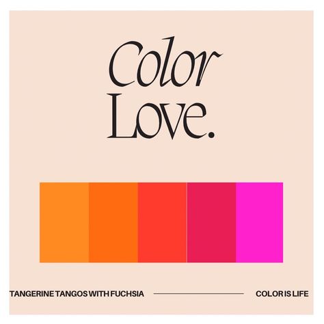 A color palette from tangerine to fuchsia Fuchsia Colour Palette, Fuchsia Color Palette, Fuchsia Color, Bagels, A Color, Colour Palette, Tango, Color Palette, Illustrator