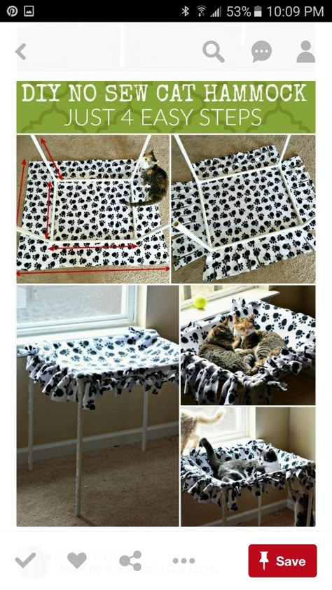 Kitten Diy Ideas, Diy Kitten Playpen, Cat Hideaway Diy, Diy Cat Perch, Cat Perch Diy, Cat Diy Projects, Diy Cat Hammock, Diy Cat Tent, Diy Cat Bed