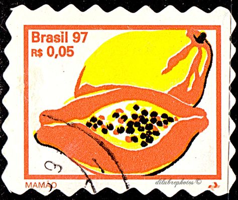 Brazil Fruit, Brazil Stamp, Tattoo Maker, Postage Stamp Design, Small Pretty Tattoos, Postage Stamp Art, Typography Poster Design, Relief Print, Stamp Collection