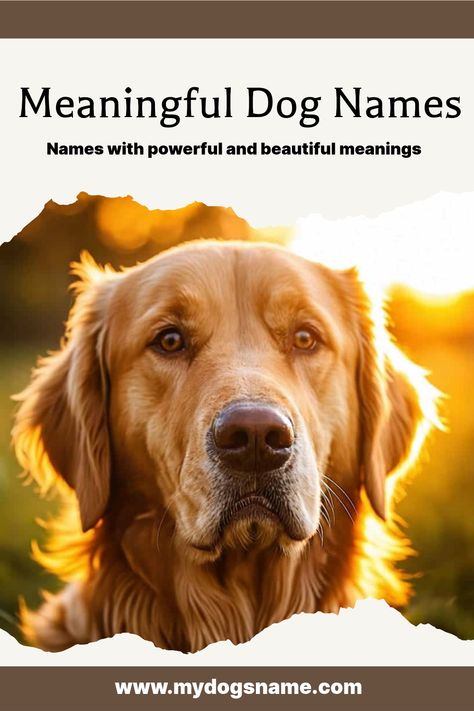 Find awesome meaningful dog names that are sure to add inspiration to your special bond. These names all include definitions. Dog Names With Meaning, Male Dog Names Unique, Rare Dog Names, Creative Dog Names, Pet Names For Dogs, Cool Pet Names, Unique Dog Names, Athena Greek Goddess, Dog Names Unique