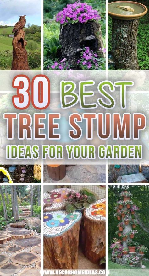 Tree Stumps Diy, Tree Stump Ideas, Tree Stump Decor, Stump Ideas, Tree Stump Planter, Tree Stump Table, Tattoo Plant, Tree Carving, Have Inspiration