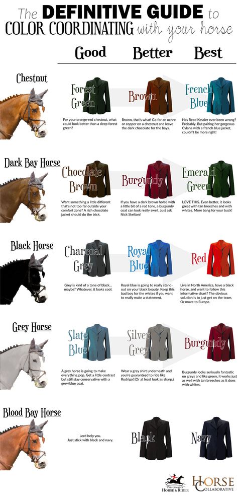 Horse Facts, Horse Riding Tips, Horse Fashion, Bay Horse, Equestrian Fashion, Horse Tips, Grey Horse, Horse Quotes, Horse Blankets