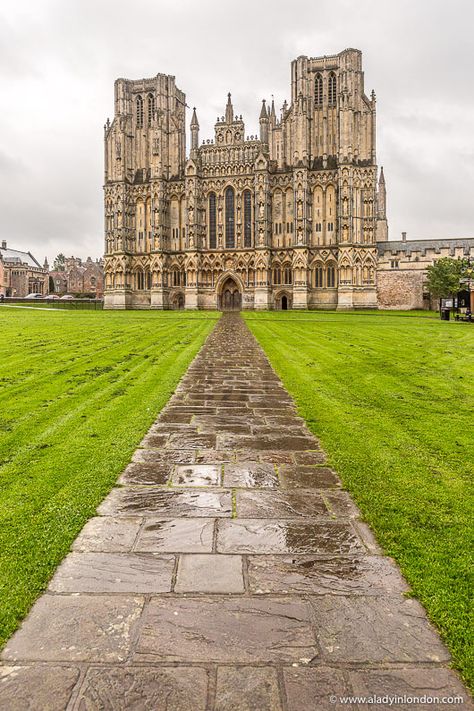 Wells Cathedral, England Wells Cathedral England, England Cities, Traveling England, Cities In England, Peterborough Cathedral, Gloucester England, Wells Cathedral, English Gothic, Visit York