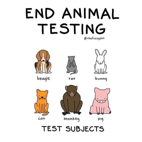 It's crazy to believe that animal testing is STILL happening in 2018! 💔 "Based on the traditional assumption that animals respond the same way that humans do when exposed to certain products, unknown numbers of animals, mostly rabbits, mice, and rats, are subject to tests that assess the safety of cosmetic, personal care, household products, chemicals, medical devices, and their component ingredients. Reactions to the exposure of these products vary among species, making it difficult to extract Stop Animal Testing, Vegan Facts, Vegan Makeup Brushes, Vegan Memes, Animal Activism, Vegan Quotes, Stop Animal Cruelty, Cruelty Free Brands, Vegan Animals