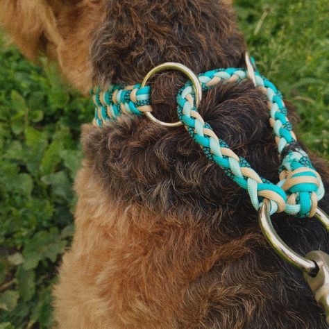 Paracord Martingale Dog Collar Diy, Paracord Dog Collar, Paracord Projects Diy, Paracord Dog Leash, Diy Dog Collar, Paracord Dog Collars, Paracord Diy, Collars Diy, Diy Crochet Bag