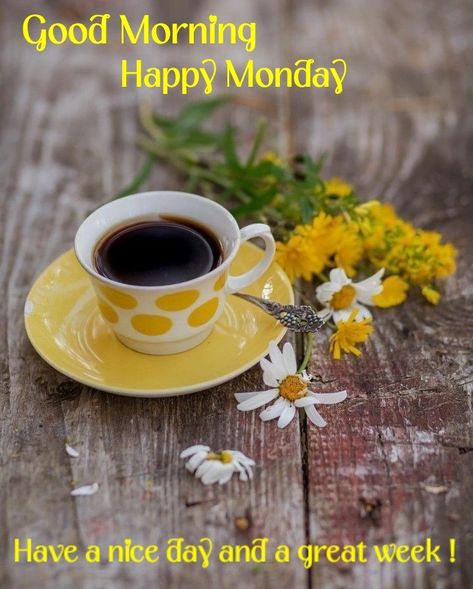 Good Morning Minions, Monday Morning Coffee, Monday Images, Good Morning Monday, Monday Coffee, Love Good Morning Quotes, Good Morning Happy Monday, Morning Monday, Good Morning Photos