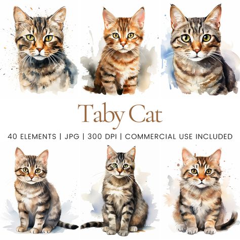 Tabby Cat Watercolor, Cat Watercolour, Brown Tabby Cat, Brown Tabby, Cat Watercolor, Cat Clipart, Watercolor Cat, Tabby Cat, Digital Planner