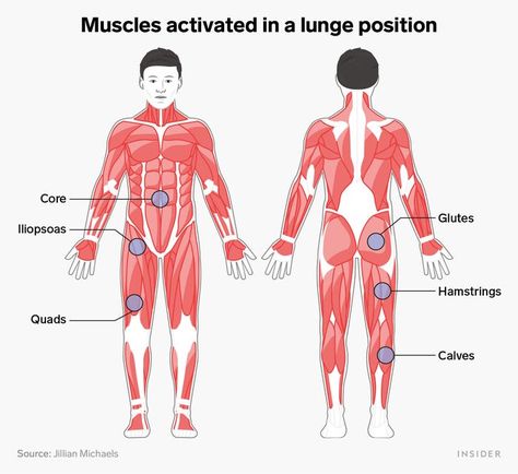 Lunges Benefits, Types Of Planks, Plank Benefits, Proper Squat Form, How To Squat Properly, Benefits Of Squats, Leg Muscle, Weighted Squats, Plank Exercises