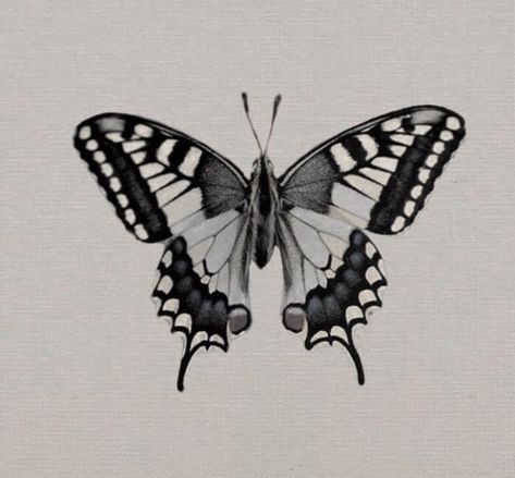 Types Of Butterfly Tattoos, Zebra Swallowtail Butterfly Tattoo, Swallowtail Butterfly Tattoo, Butterfly Thigh Tattoo, Butterfly Tattoos Images, Butterfly Tattoo Stencil, Traditional Tattoo Inspiration, Unique Small Tattoo, Insect Tattoo