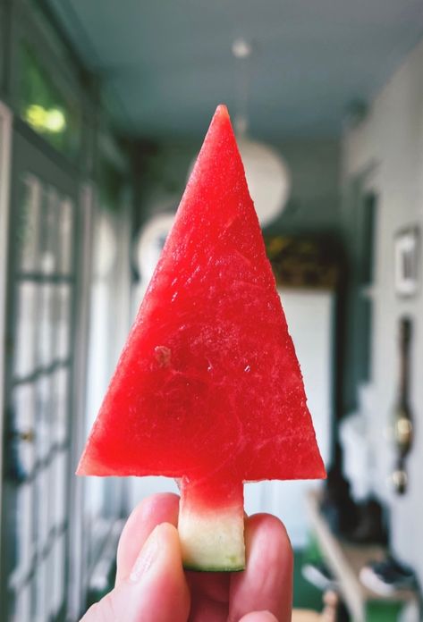 watermelon christmas trees – lo's kitchen Watermelon Christmas Trees, Remembering Dad, Frozen Watermelon, Types Of Fruit, Xmas Trees, Christmas Tree Stand, Tree Farm, Christmas Tree Farm, School Holidays