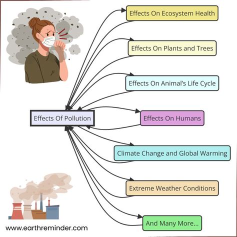 Causes Of Water Pollution, Air Pollution Project, Pollution Project, Effects Of Water Pollution, Pollution Pictures, Effects Of Pollution, Bio Project, Animal Life Cycles, Health Images