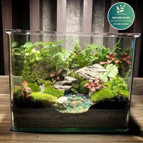 Mini Ecosystem, Diy Resin Wall Art, Closed Terrarium Plants, Aquarium Mini, Fish Tank Garden, Garden Sitting Areas, Miniature Zen Garden, Diy Succulent Terrarium, Small Terrarium