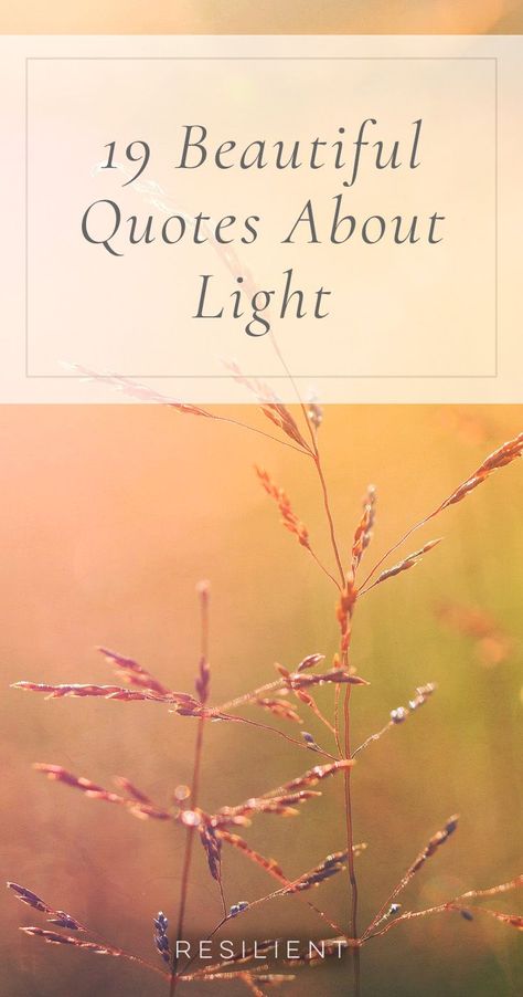 Light Of Hope Quotes, The Light Remains Quote, Light Sayings Inspiration, Light Inspiration Quotes, The Light Quotes, Sayings About Light, Being A Light Quotes, Candle Quotes Inspiration Thoughts, Follow The Light Quotes