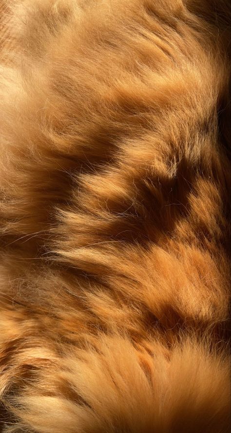 Rihanna Photoshoot, Fur Background, Wallpaper Crafts, A Level Textiles, Lions Photos, Fur Texture, Skin Structure, Animal Study, Texture Photography