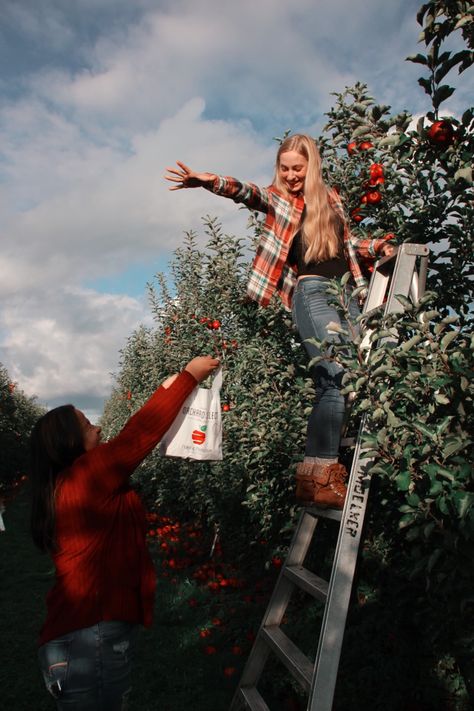 Apple Picking Photoshoot Friends, Family Photo Apple Orchard, Apple Picking Photo Ideas, Apple Orchard Photoshoot Friends, Couple Apple Picking Pictures, Apple Picking Photoshoot Couple, Apple Picking Couple, Apple Orchard Photoshoot Family, Apple Picking Photoshoot