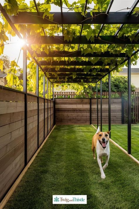 Dog Kennel Ideas Outdoor, Dog Run Side Yard, Dog Kennel Ideas, Outdoor Dog Area, Diy Dog Run, Outdoor Dog Runs, Backyard Dog Area, Dog Play Area, Kennel Ideas Outdoor