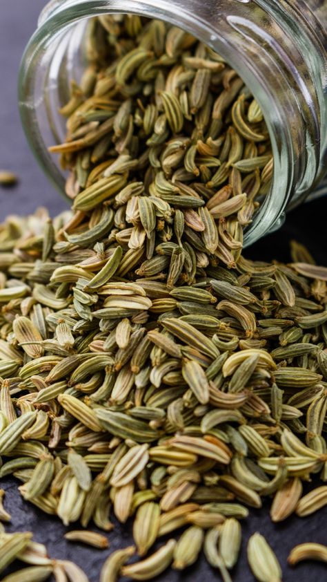 Fennel Seeds Benefits, Benefits Of Fennel, Coriander Seed, Seeds Benefits, Digestive Juice, Improve Metabolism, Improve Gut Health, Respiratory Health, Fennel Seeds