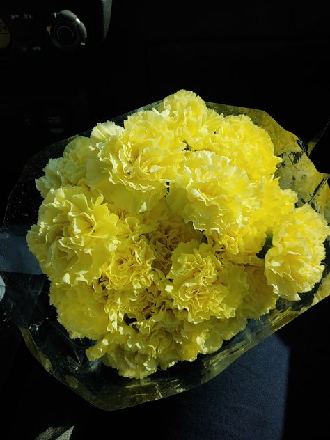 White Carnations Aesthetic Wallpaper, Caramel Carnation, Green Carnation Aesthetic, Yellow Carnations Aesthetic, Yellow Chrysanthemum Aesthetic, Yellow Carnations, Nothing But Flowers, Happy Colors, Yellow Flowers