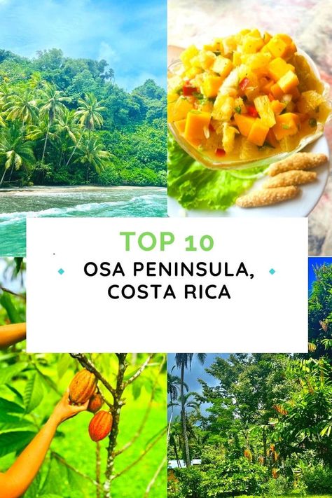 Top 10 Osa Peninsula, Costa Rica Things to Do Osa Peninsula Costa Rica, Lifestyle Transformation, Travel Project, Visit Costa Rica, Costa Rica Travel, Travel Brand, Cancun Mexico, Beaches In The World, Exotic Fruit