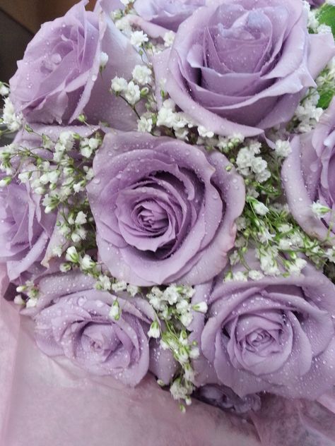 Purple Rose bridal bouquet with baby's breath- Graceland Florist Brides Flowers, Purple Pictures, Small Bridal Bouquets, Purple Bouquets, Purple Bridal Bouquet, Purple Wedding Bouquets, Romantic Elopement, Purple Bridesmaid, Rose Bridal Bouquet