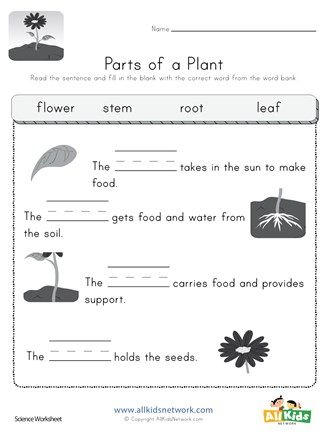 Learn about plants with this fun worksheet. Read the sentence and fill in the blank with the correct word from the word bank. Plant Parts Worksheet, Plants Kindergarten, Plant Lessons, Plants Worksheets, Plant Parts, Biology Worksheet, Planting For Kids, Kindergarten Reading Activities, Social Studies Worksheets