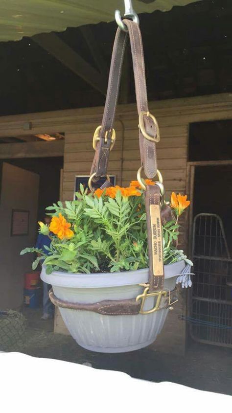 Old halters or memorable halters from past horses... Great way to reuse it Pot Gantung, Planters Ideas, Barn Hacks, Horse Barn Plans, Equestrian Decor, Barn Decor, Horse Crafts, Barn Plans, Dream Barn