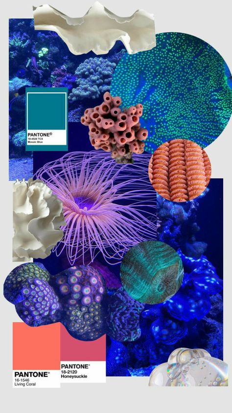 Coral Mood Board, Ocean Moodboard, Mood Board Fashion Inspiration, Fashion Sketchbook Inspiration, Fashion Portfolio Layout, Textiles Sketchbook, Fashion Design Template, Mermaid Aesthetic, Fashion Design Portfolio