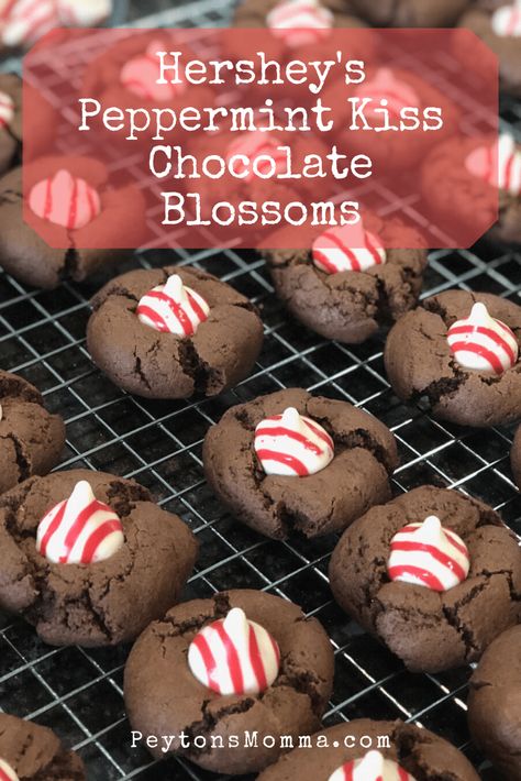 Chocolate Blossoms, Peppermint Treats, Crackle Cookies, Kiss Cookies, Blossom Cookies, Peanut Butter Blossoms, Festive Cookies, Kisses Chocolate, Christmas Food Desserts