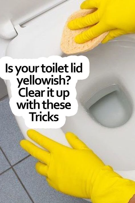 Over time the toilet lid becomes yellowish, and that aspect is not the most favorable, much less if we are going to receive a special visit, so we can use different stain remover products and observe that the color wears off and loses its original appearance. Here are some tricks that will help you whiten your toilet seat with products that are common and easy to find in the supermarket. Toilet Stain Remover, Cleaning Bathrooms, Peroxide Uses, Toilet Stains, Hydrogen Peroxide Uses, Clean Toilet, Hydrogen Peroxide, Sparkling Clean, Household Chores