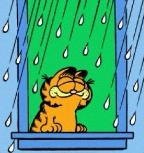 Garfield Pictures, Garfield Images, Garfield Christmas, Funny Orange, Garfield Cartoon, Garfield Cat, Garfield Comics, Garfield And Odie, Cartoon Crazy