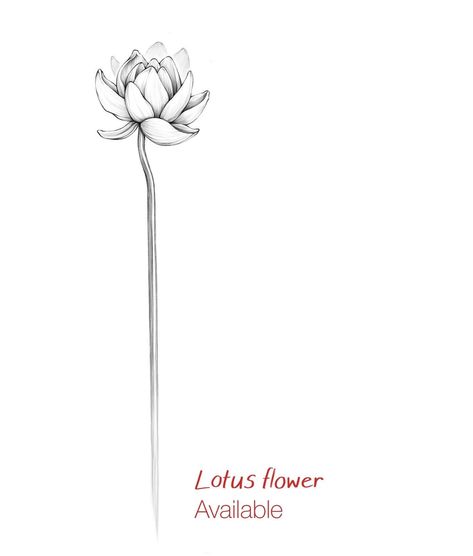 Do you want this lotus flower as a tattoo? ☺️🪷 Just send me a DM with your desired size and placement. Arm or back preferred, but other placements are also possible! Fun fact: Lotus flowers are considered a symbol of growing from a dark place into rebirth and beauty, because their leaves repel the mud and water they grow out of #tattoo #wannadotattoo #blackandgreytattoo #finelinetattoo #tattooart #tattooartist #lotustattoo #flowertattoo #floraltattoo Lotus Flower Growing From Mud Tattoo, Lotus Flower Growing, Growing Tattoo, Lotus Tattoo, Lotus Flowers, Feminine Tattoos, Dope Tattoos, Fine Line Tattoos, Growing Flowers