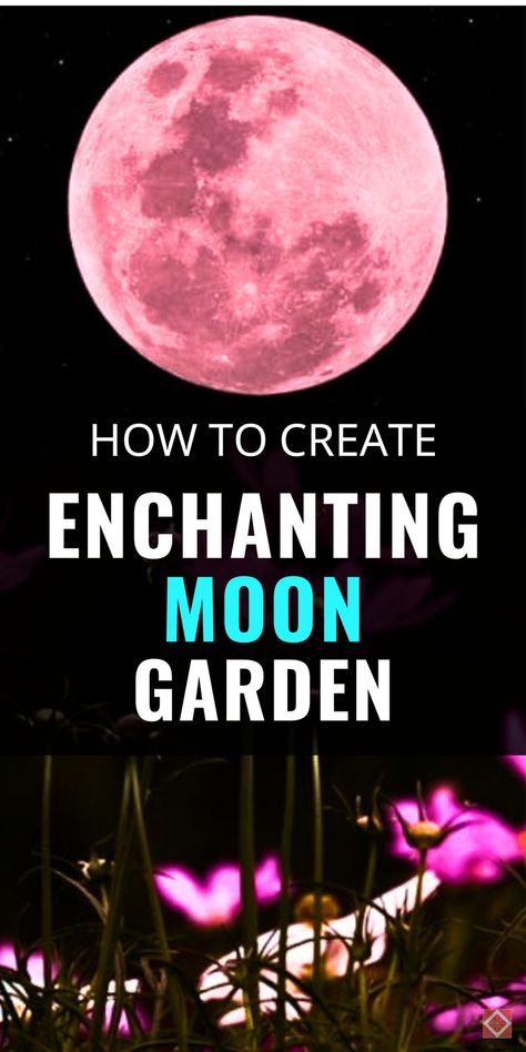 Discover how to create a moon garden that glows under moonlight and captivates with night-blooming flowers, silvery foliage, and enchanting fragrance. Learn what plants thrive in nighttime gardens, plus tips for arranging lighting and decor to enhance the magical ambiance.Perfect for gardening enthusiasts, this guide walks you through the steps to make your own backyard oasis.Save this pin for a comprehensive look at moon garden design that transforms your garden into a dreamy nighttime retreat. Moon Garden Aesthetic, Moon Garden At Night, Moon Garden Ideas, White Flowering Plants, Night Blooming Flowers, Under Moonlight, Magical Moon, Backyard Sanctuary, Under The Moonlight