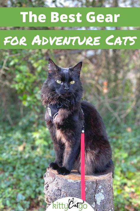 Must Have Cat Items, Cat Bucket List, Adventure Cat Training, Cat Essentials List, Cat Camping, Best Cat Harness, Fuzzy Pants, Cat Travel Accessories, Cat Adventure