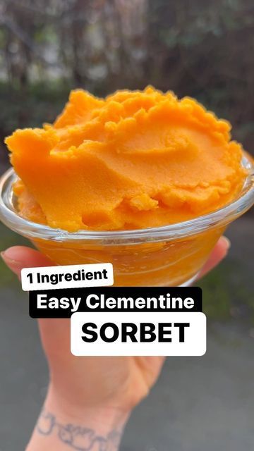 Clementine Ice Cream, Tangerine Recipes, Clementine Recipes, Frozen Fruit Snacks, Ice Cream Maker Recipes Healthy, Dairy Free Ice Cream, Ice Cream Maker Recipes, Sorbet Recipes, Frozen Fruit