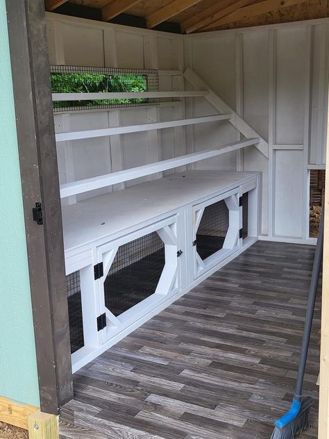 Great Chicken Coop Ideas, Chicken Coop With Tack Room, Easy Chicken House Ideas, Coop Set Up, Chicken Supply Storage, Chicken Coop Organization, Chicken Coop Set Up Inside, Fancy Chicken Coop Interiors, Container Chicken Coop