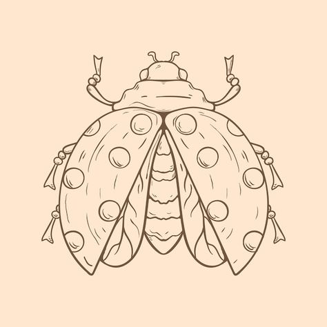 Beautiful ladybug outline illustration | Premium Vector #Freepik #vector #line-art #outline #minimal-illustration #simple-illustration Bug Outline Tattoo, Ladybug Outline Tattoo, Ladybug Tattoo Linework, Simple Ladybug Tattoo Outline, Ladybug Outline, Ladybug Line Drawing, Ladybug Illustration, Lineart Illustration, Art Outline