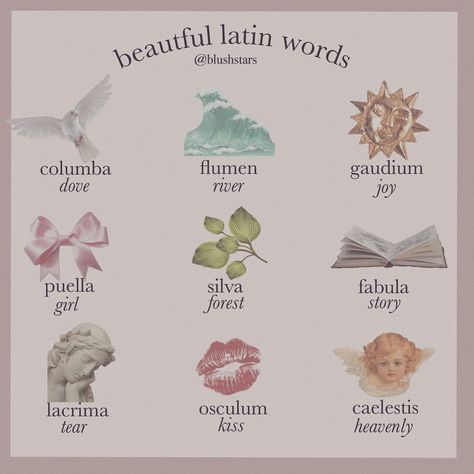 5,516 Me gusta, 136 comentarios - 𝗶𝘀𝗮 (@blushstars) en Instagram: "𝓁𝒶𝓉𝒾𝓃 𝓌𝑜𝓇𝒹𝓈 🕊🏹 {which one is your favorite?}" Latin Aesthetic, Latin Quotes, Latin Phrases, Uncommon Words, Unusual Words, Rare Words, Japon Illustration, Words To Use, Latin Words