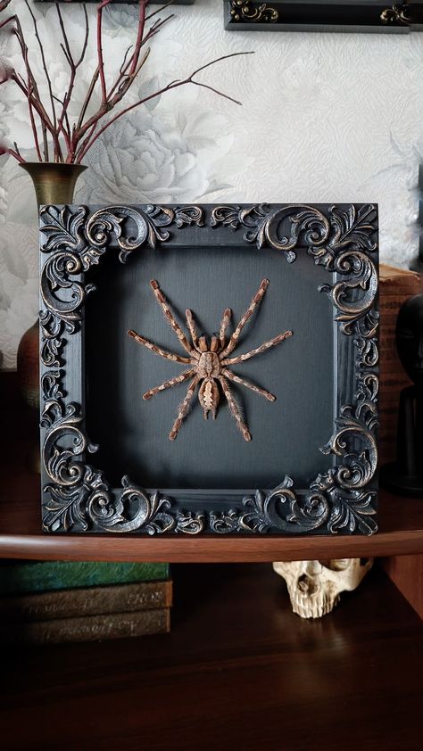 Available! Home decor ideas - real framed tarantula Entomology Art, Halloween Tea Party, House Room, Tea Party, Halloween, Frame, Home Decor, Art