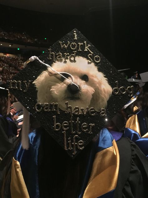 Graduation Cap Designs Dog, Graduation Cap Funny, Graduation Cap Ideas Funny, Graduation Cap Designs Funny, Funny Graduation Cap Decoration, Funny Grad Cap Ideas, Bts Spring Day, Funny Graduation Caps, College Grad Cap Ideas