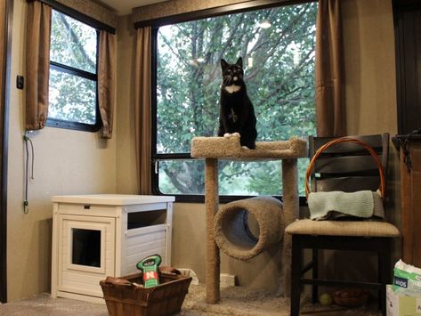 Rv Cat Ideas, Cat Rv Living, Cats And Rv Living, Rv Living With Pets, Full Time Rv Living, Rv Living With Cats, Camper With Cats, Rv With Cats, Rv Cat Enclosure